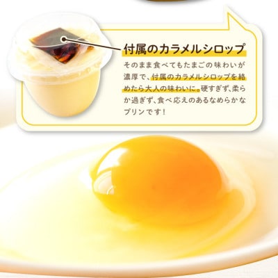 養鶏場が作る【あさひプリン】30個　卵・牛乳・砂糖のみで仕上げたなめらか食感がクセになる!
