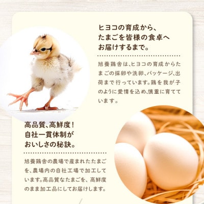 養鶏場が作る【あさひプリン】30個　卵・牛乳・砂糖のみで仕上げたなめらか食感がクセになる!