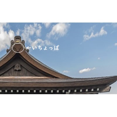 電源不要!スマホウッドスピーカー【iPhone用】・いちょっぱ小サイズ