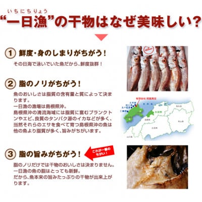 【訳あり】魚の干物おまかせ詰合せセット(のどぐろ入り)(干物4〜5種)　(A191)