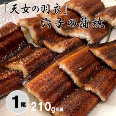 「天女の羽衣」あなご 蒲焼 1尾 210g　(A105)