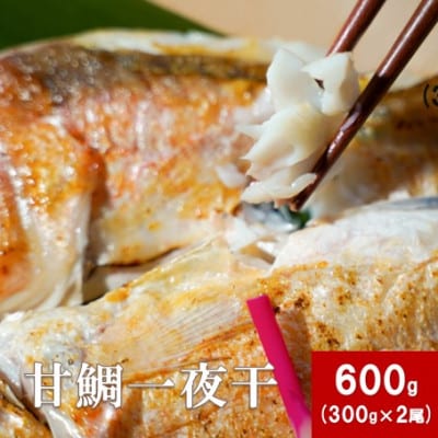 旬獲れの甘鯛使用!　大ぶり甘鯛一夜干　300g×2尾　(B180)