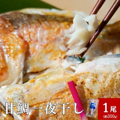 「一日漁」甘鯛一夜干　1尾(約300g)　(A194)