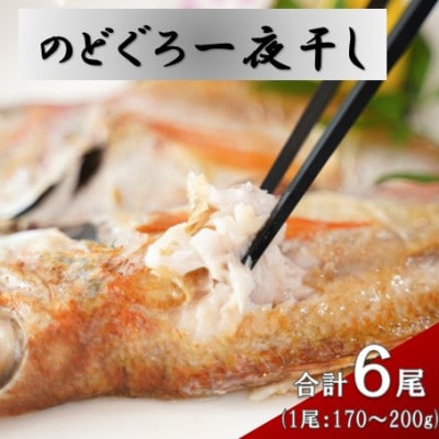 島根県沖!添加物不使用・天日塩仕上げ!大ぶり「のどぐろ一夜干」(6尾)E174