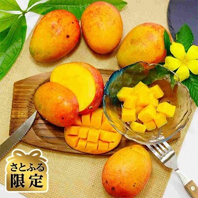 沖縄県産 訳あり マンゴー 約1 5kg さとふる限定 お礼品詳細 ふるさと納税なら さとふる