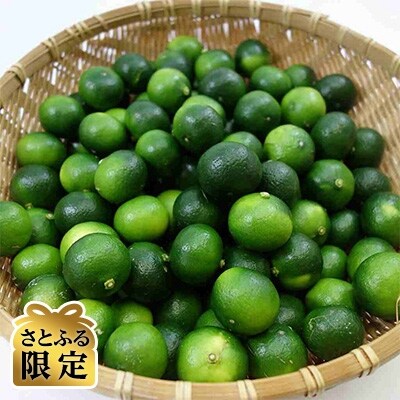 沖縄県産シークヮーサー 約2kg さとふる限定 お礼品詳細 ふるさと納税なら さとふる