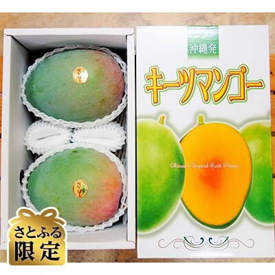 農家から直接お届け 太陽ファームのキーツマンゴー 2kg 2玉 さとふる限定 お礼品詳細 ふるさと納税なら さとふる 農家から直接お届け 太陽ファームのキーツマンゴー 2kg 2玉 さとふる限定 お礼品詳細 ふるさと納税なら さとふる