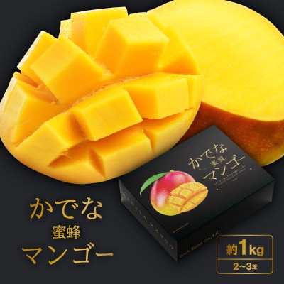 2025年発送【かでな蜜蜂マンゴー】約1kg(2～3玉)