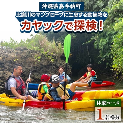 【1名様体験コース】比謝川のマングローブに生息する動植物をカヤックで探検!