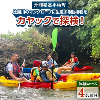 【4名様体験コース】比謝川のマングローブに生息する動植物をカヤックで探検!