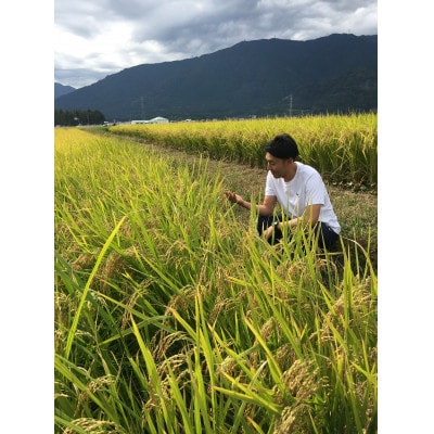 高橋米(揖斐川町産はつしも)10kg