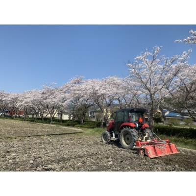 高橋米(揖斐川町産はつしも)10kg