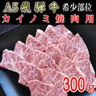 「希少部位」A5等級飛騨牛カイノミ焼肉用300g