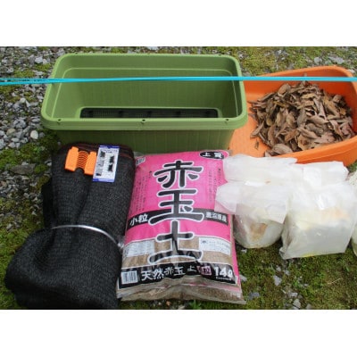 舞茸ほだ木4本セット