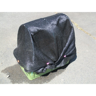 舞茸ほだ木4本セット