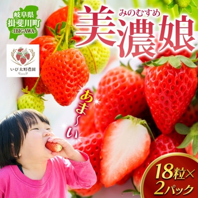 ジューシーで甘い いちご 美濃娘 18粒×2パック いび大野農園 岐阜県 揖斐川町
