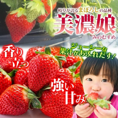 ジューシーで甘い いちご 美濃娘 18粒×2パック いび大野農園 岐阜県 揖斐川町