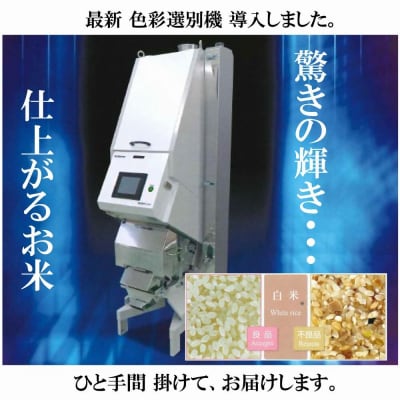 令和6年度 ひとめぼれ10kg(無洗、5kg×2)