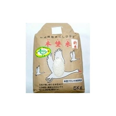 白鳥の郷 本埜米 (こしひかり) 令和7年産　8kg