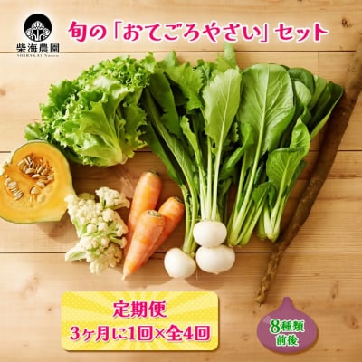 [定期便 3ヶ月ごと4回お届け] 柴海農園 旬の「おてごろやさい」セット (8種類前後)