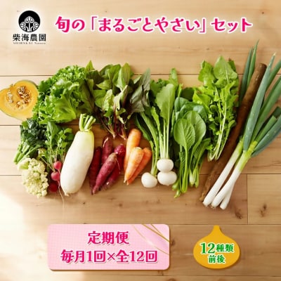 [定期便 毎月12回お届け] 柴海農園 旬の「まるごとやさい」セット (12種類前後)