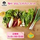 [定期便 3ヶ月ごと4回お届け] 柴海農園 旬の「まるごとやさい」セット (12種類前後)