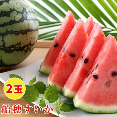 印西の特産品 船穂すいか　2玉