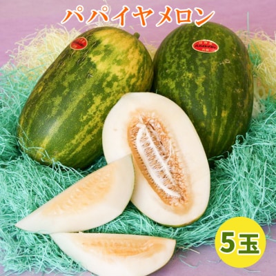 印西の特産品 パパイヤメロン　5玉