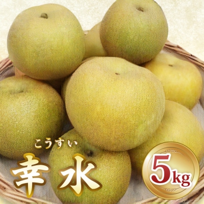 [先行受付] 印西の梨 幸水