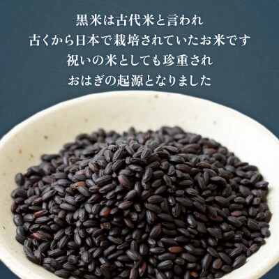 古代米 あげもち <しお> 10袋セット