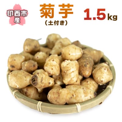 印西市産　菊芋 (土付き)1.5kg