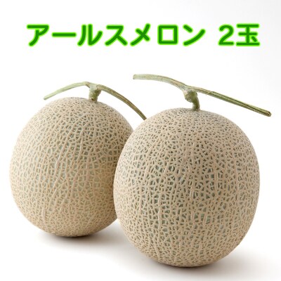 [先行受付] 印西 アールスメロン