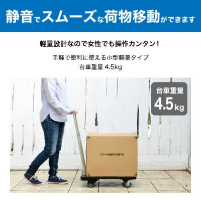 コンパクトキャリー (積載荷重100kg) YNC-6040B ナンシン