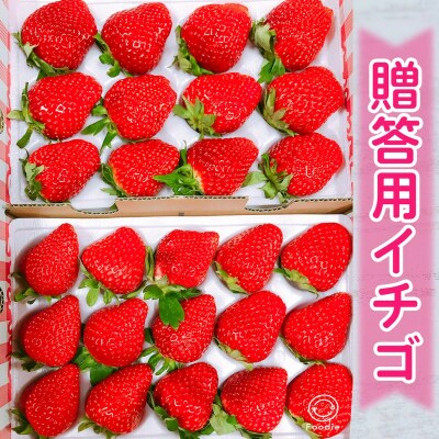 和田農園 イチゴDX(デラックス)