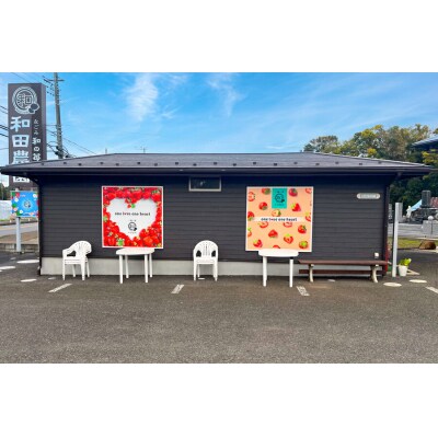 和田農園 イチゴDX(デラックス)