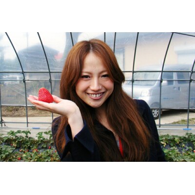 和田農園 イチゴDX(デラックス)