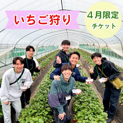 和田農園 4月限定 いちご狩りチケット