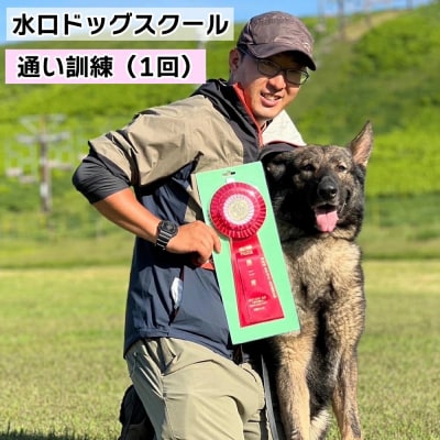  水口ドッグスクール　通い訓練(1回)