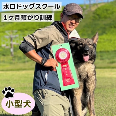 水口ドッグスクール　1ヶ月預かり訓練(小型犬)