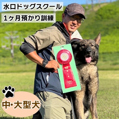 水口ドッグスクール　1ヶ月預かり訓練(中・大型犬)