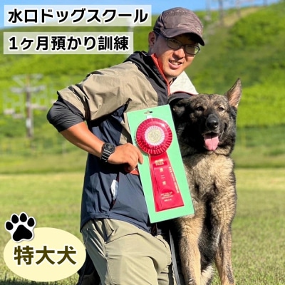 水口ドッグスクール　1ヶ月預かり訓練(特大犬)
