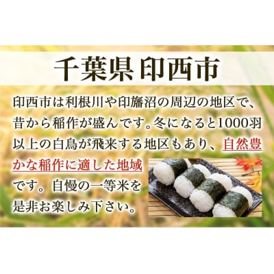 ふさこがね 令和7年産 印西市産 美味しいごはん 8kg(4kg×2袋)