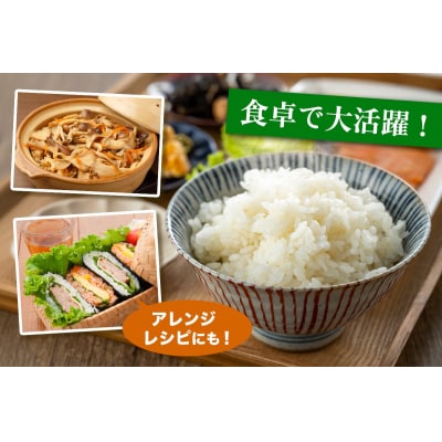  [定期便/3ヶ月 令和7年産] ふさこがね 印西市産 美味しいごはん 計24kg (8kg×3回)