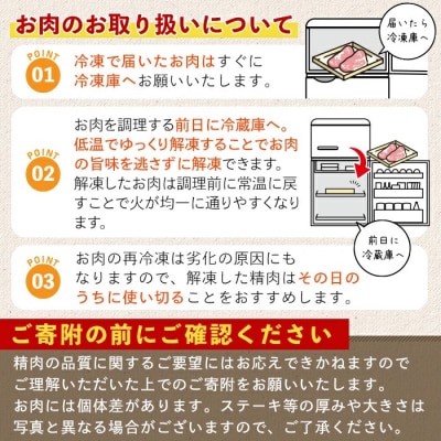 《訳アリ》黒毛和牛A5カットステーキ(600g)