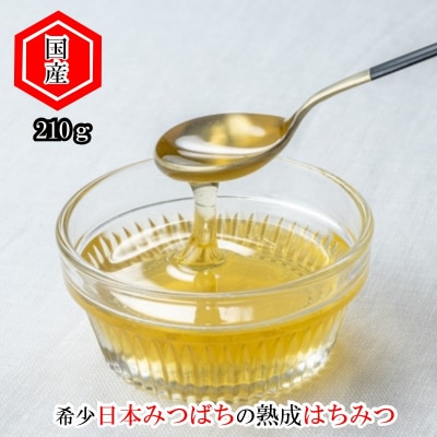 国産日本ミツバチ熟成はちみつ　百花蜂蜜210g*392