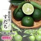【期間限定】露地すだち3kg(1箱 約1kg×3箱)【BP004】