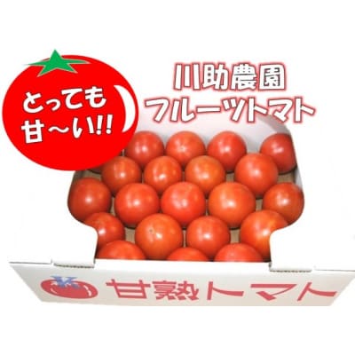 【2026年4月以降順次発送分】川助農園のフルーツトマト1kg以上(最大糖度16.1度!!)