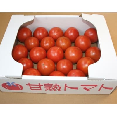 【2026年4月以降順次発送分】川助農園のフルーツトマト1kg以上(最大糖度16.1度!!)