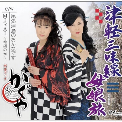 津軽三味線体験チケット～グループレッスン(120分)～