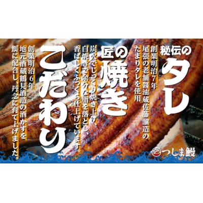 【純国産ウナギ】つしま鰻蒲焼2尾入(300g)